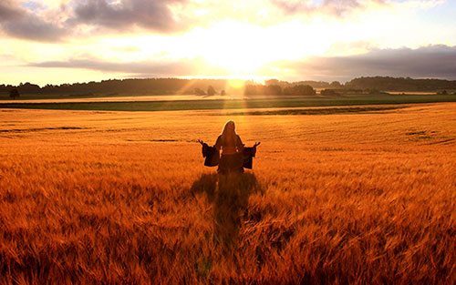 Солнце, девушка, поле яровой пшеницы
